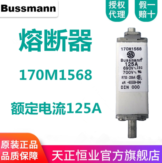 bussmann 欧标方体熔断器 170M1568 bussmann 欧标方体熔断器 170M1568